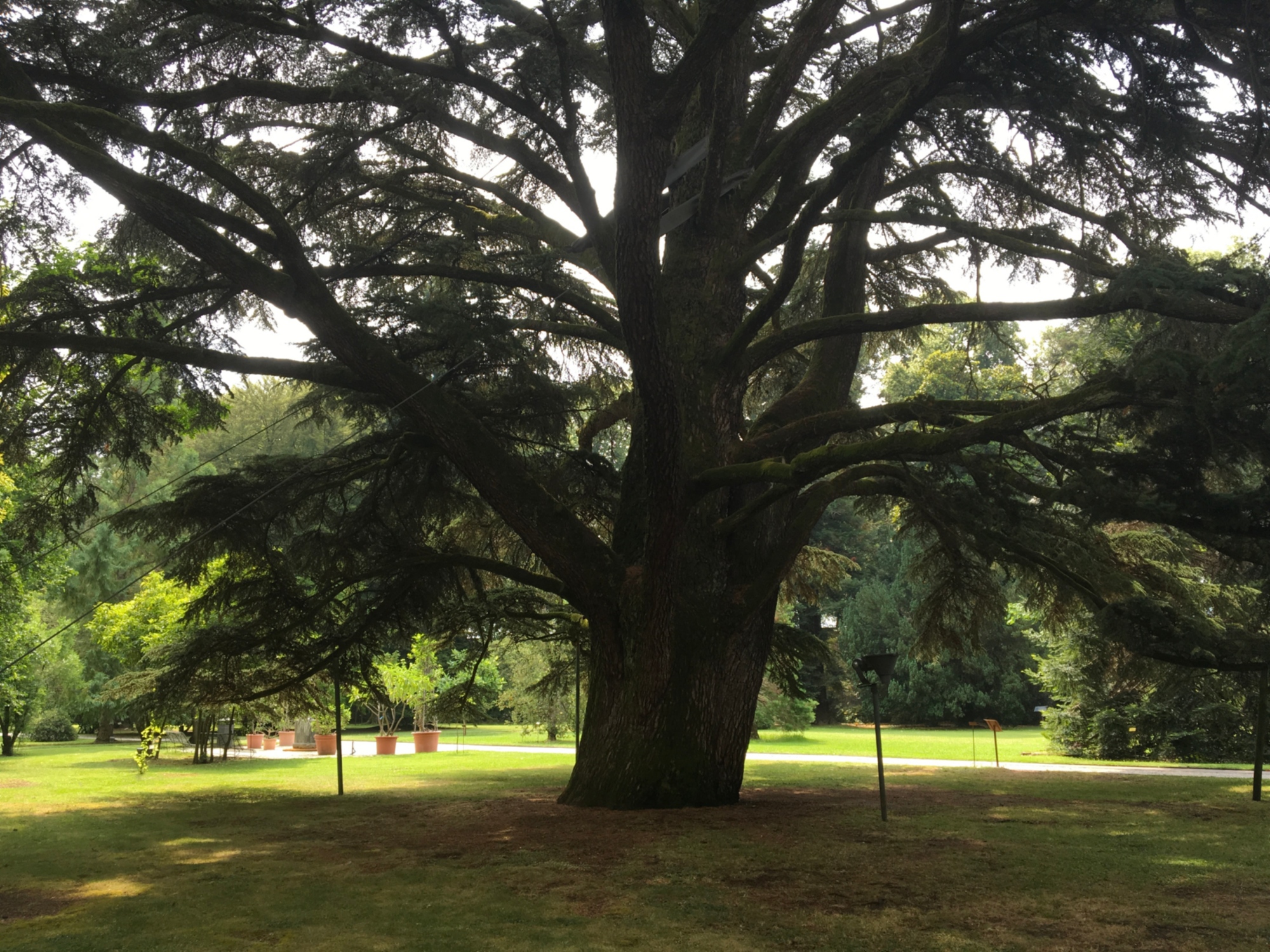 Orto Botanico di Lucca
