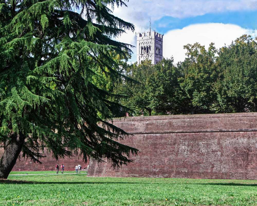 Ein Abschnitt der Stadtmauer von Lucca
