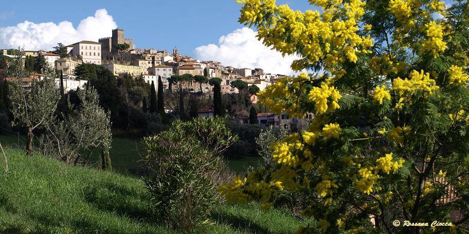 Manciano