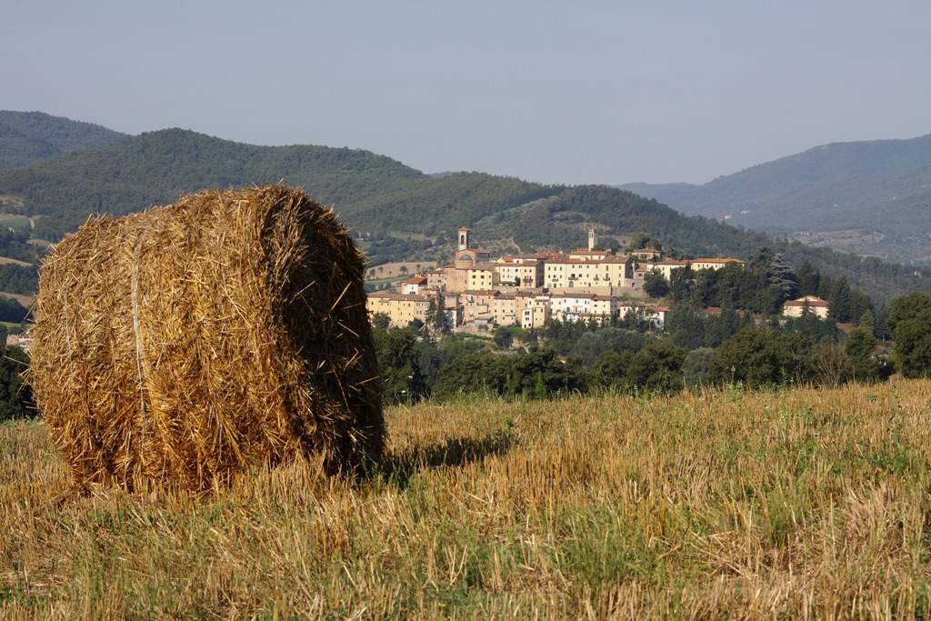 Monterchi