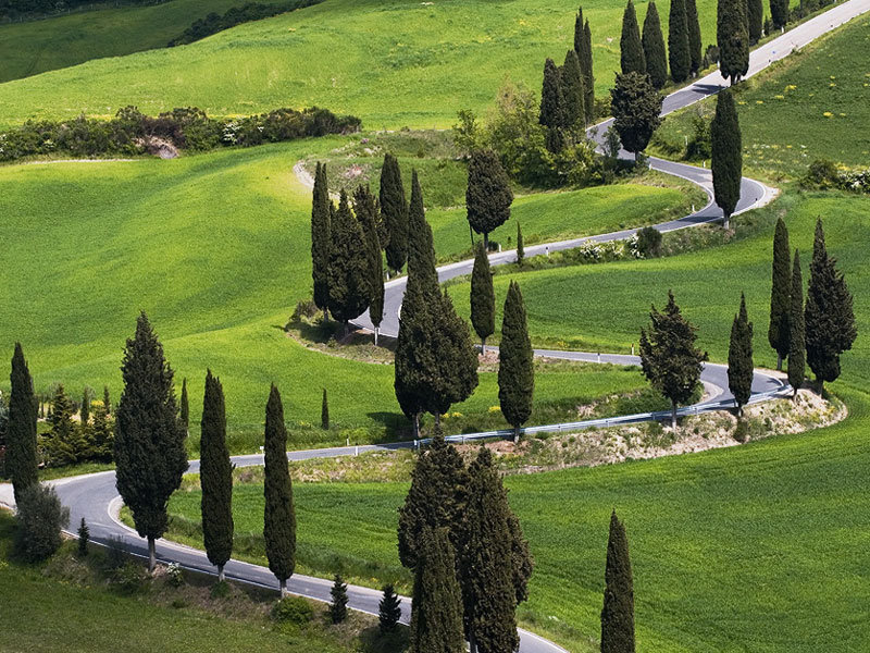 La strada per Monticchiello