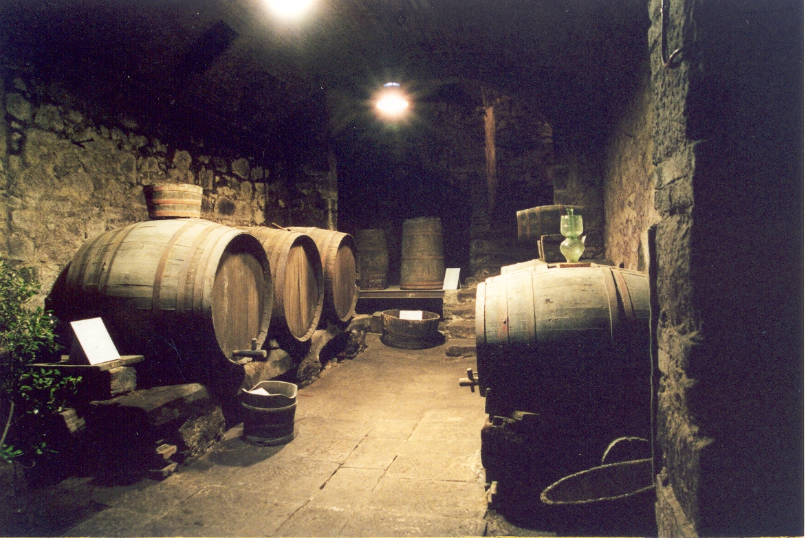 Museo del Vino di Roccastrada Museo del Vino di Roccastrada