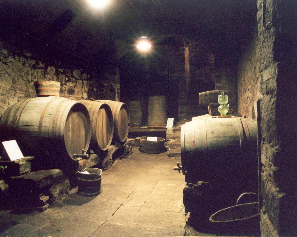 Musée du Vin de Roccastrada