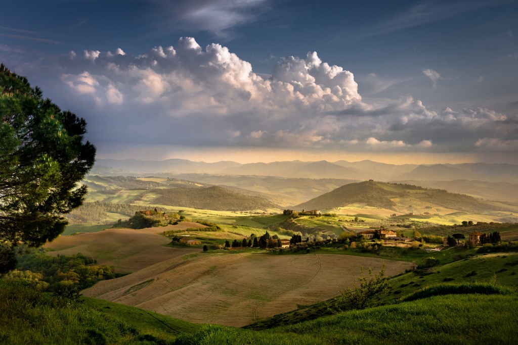 Volterra