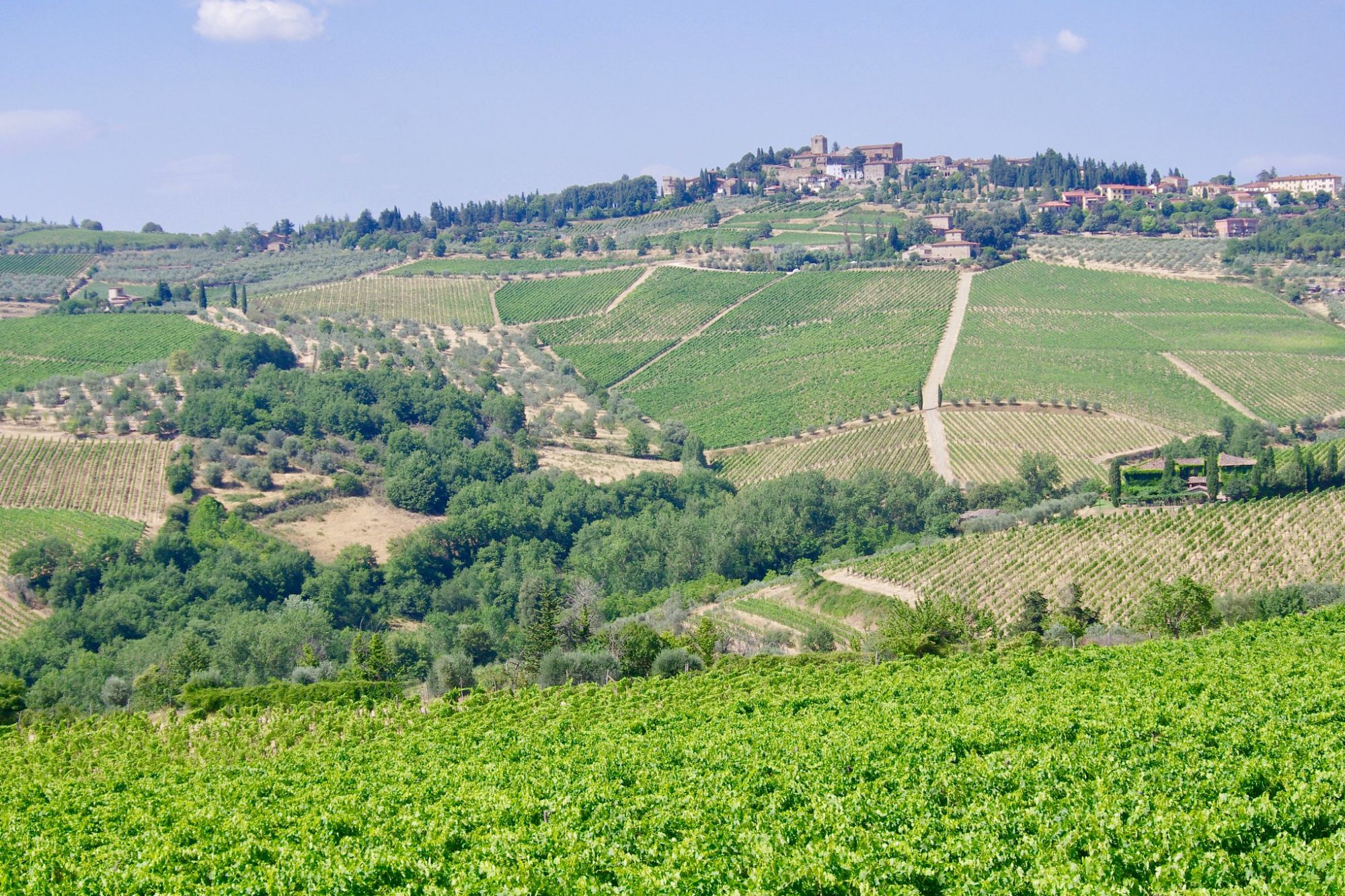 Chianti, Colinas