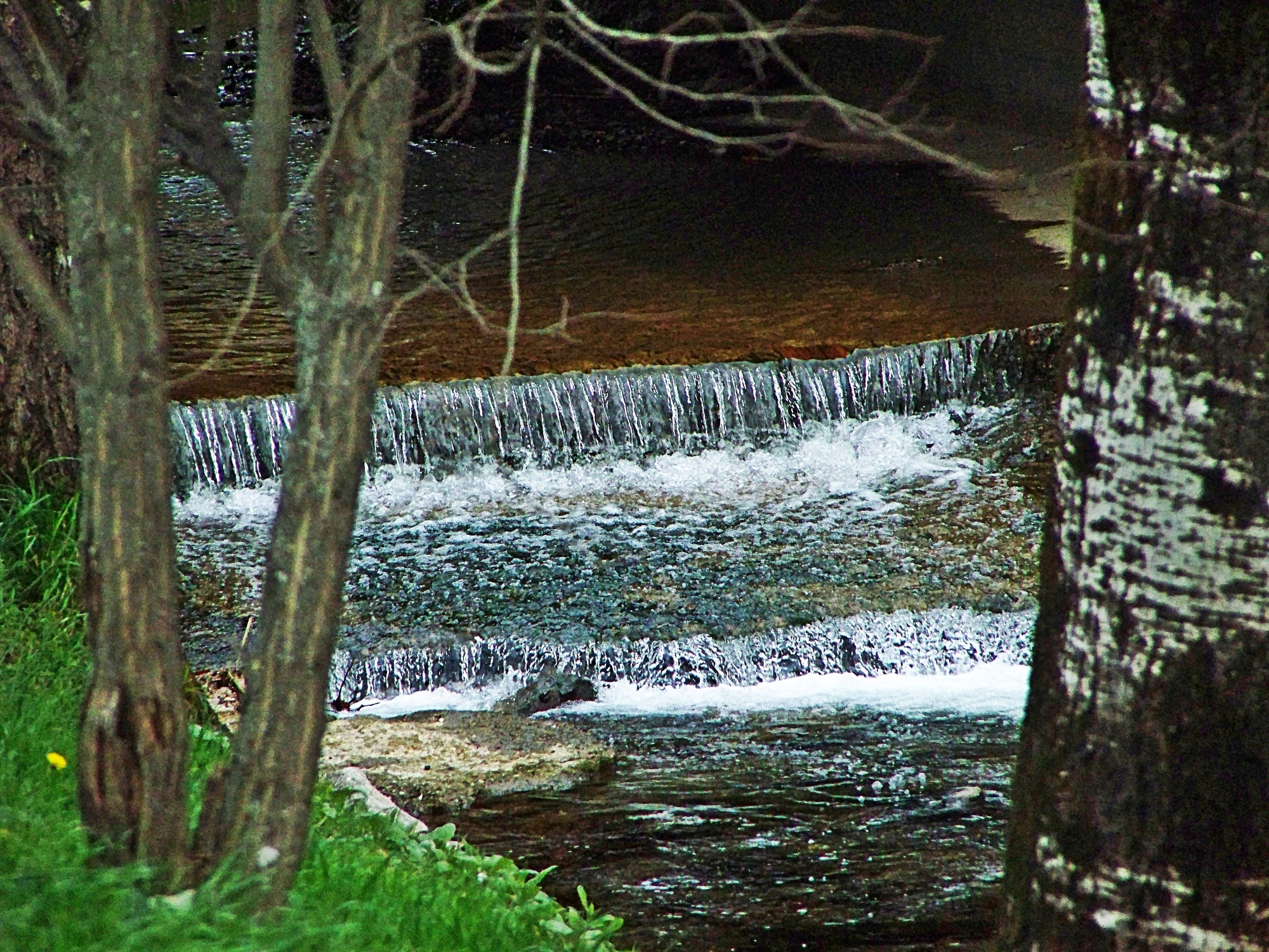 Parco di Galceti