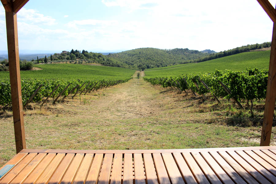 A perfect place for a picnic among Chianti Classico vineyards