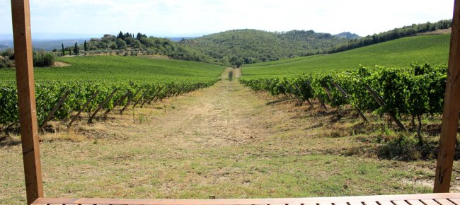 A perfect place for a picnic among Chianti Classico vineyards