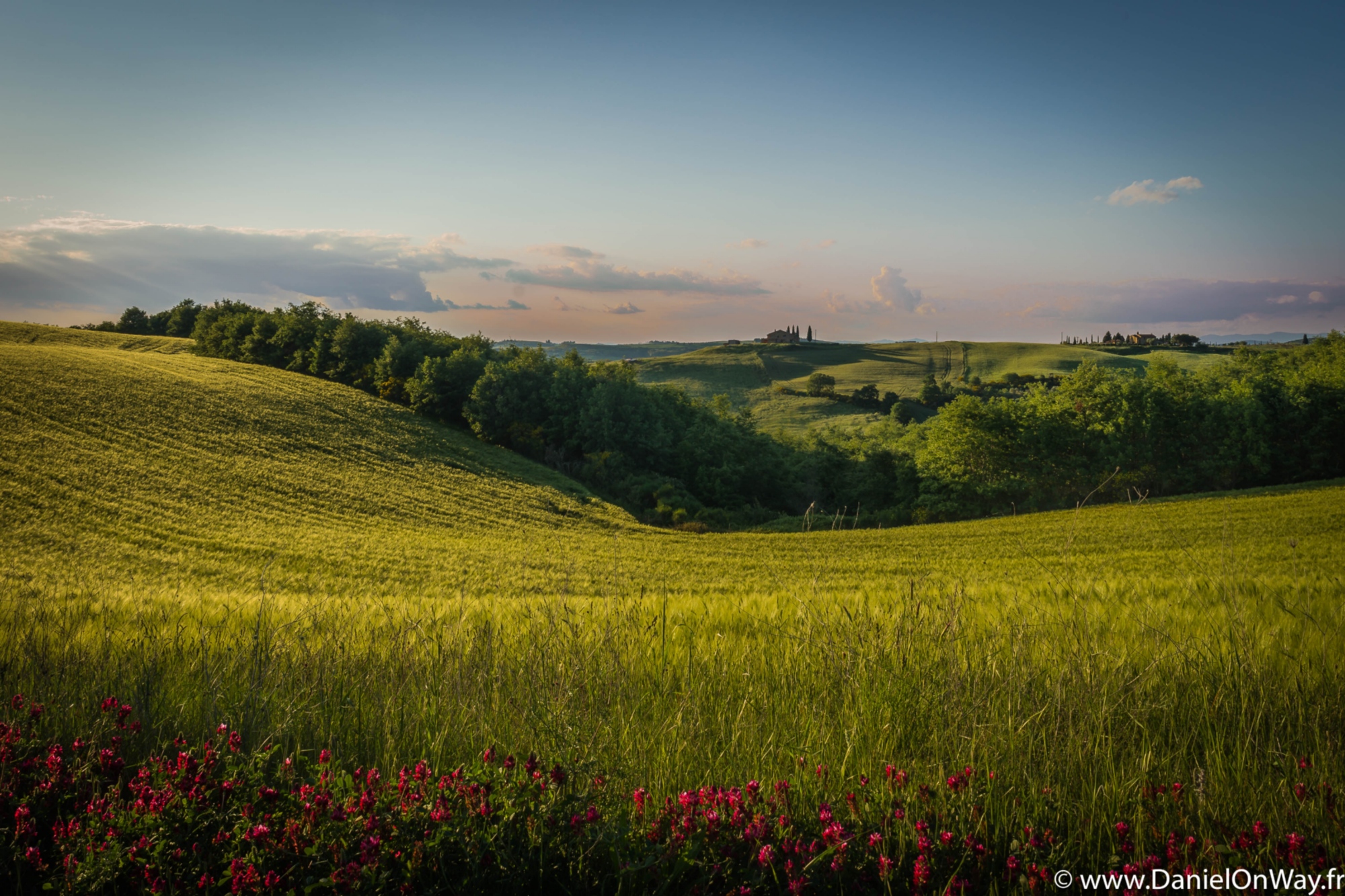 Campiña de Pienza