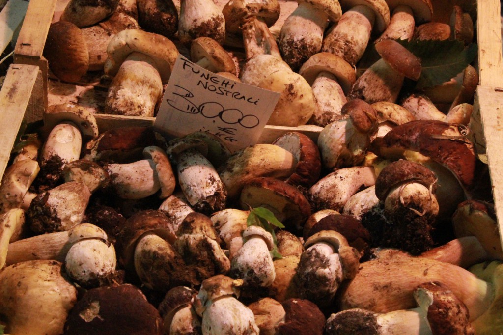 Funghi porcini