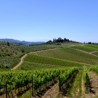 Chianti