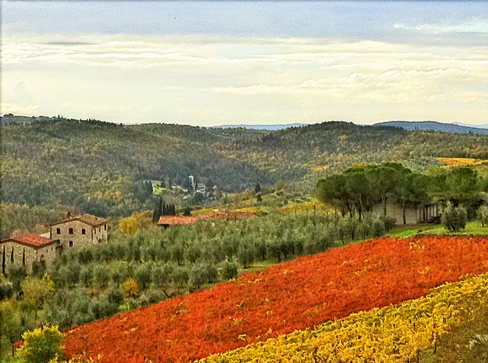 Radda in Chianti