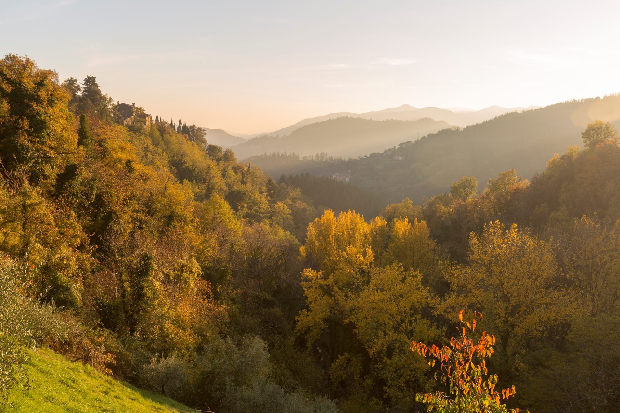 Rocca di Vernio