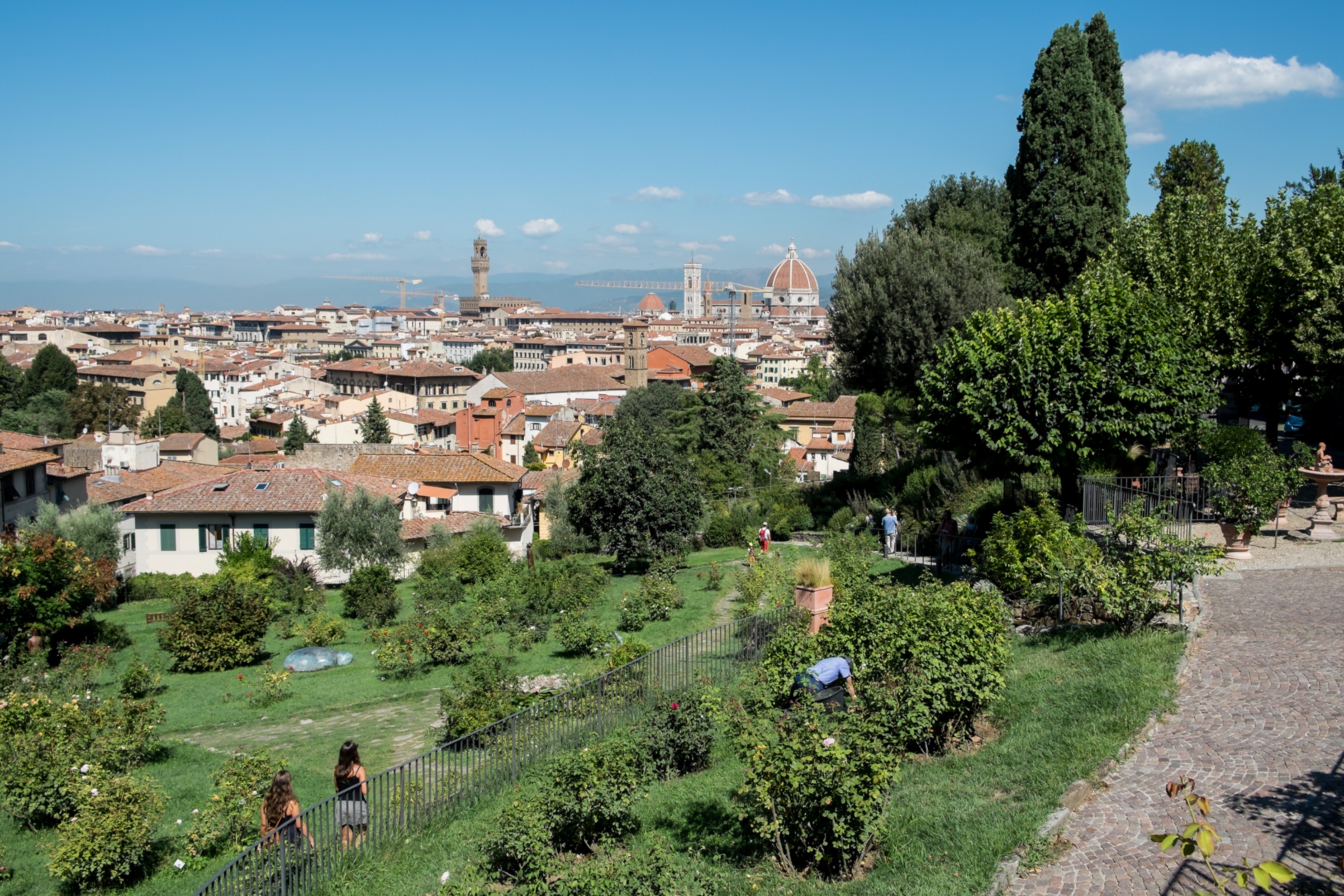 Rose Garden in Florence