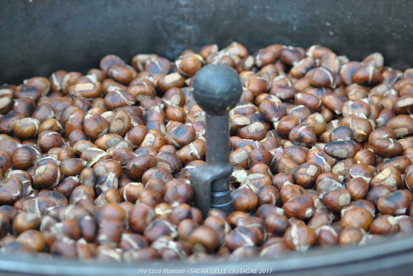 Mugello di Marradi Chestnut Sagra