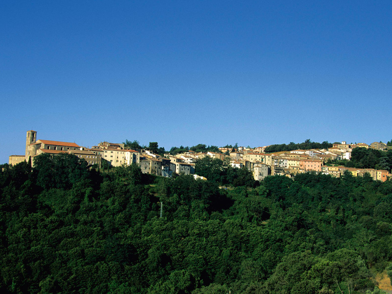Scansano