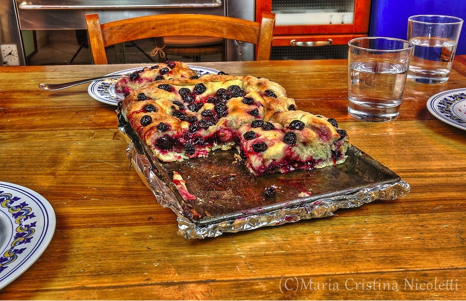Grape schiacciata flat cake