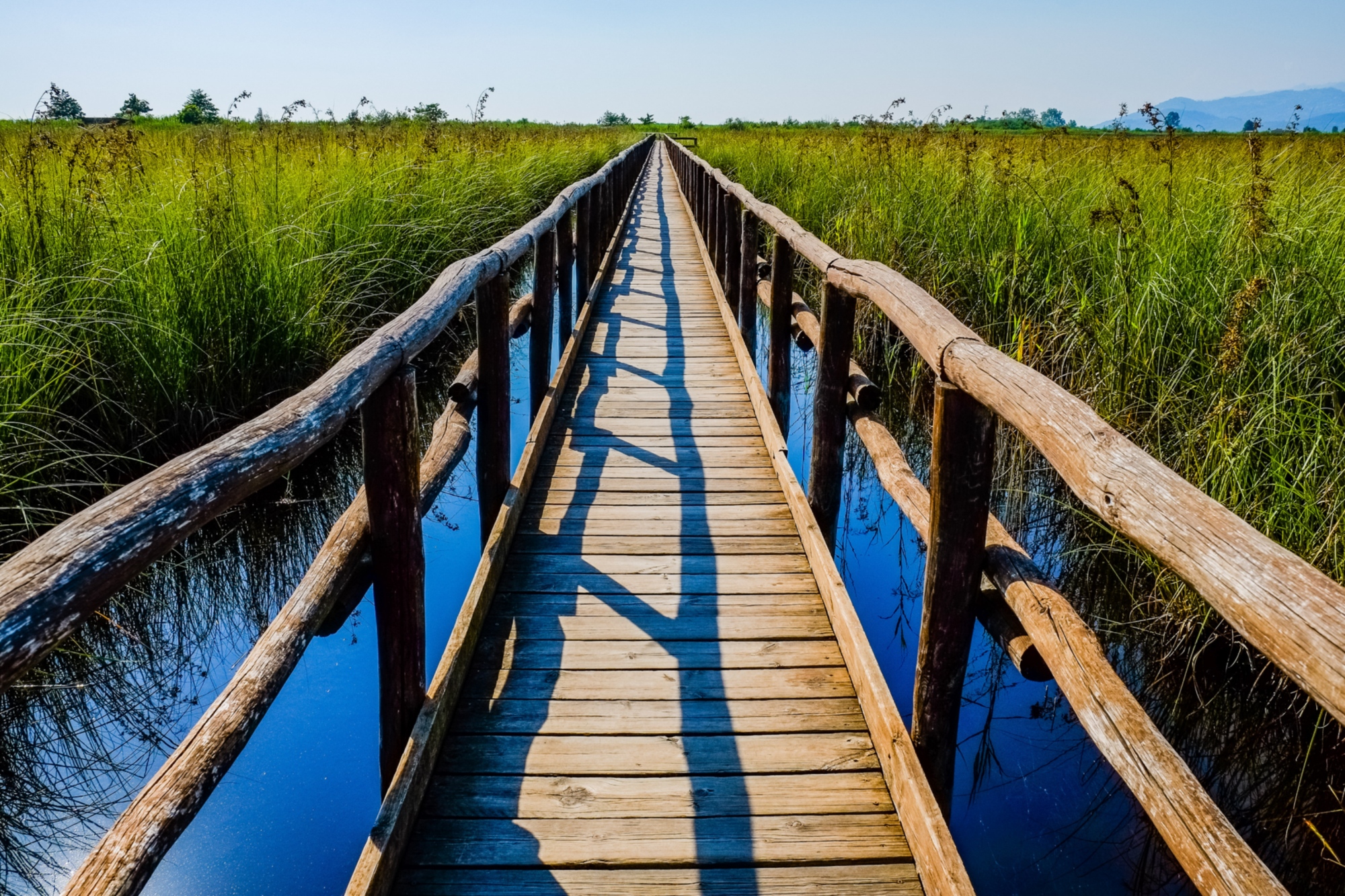 LIPU Oasis of Massaciuccoli