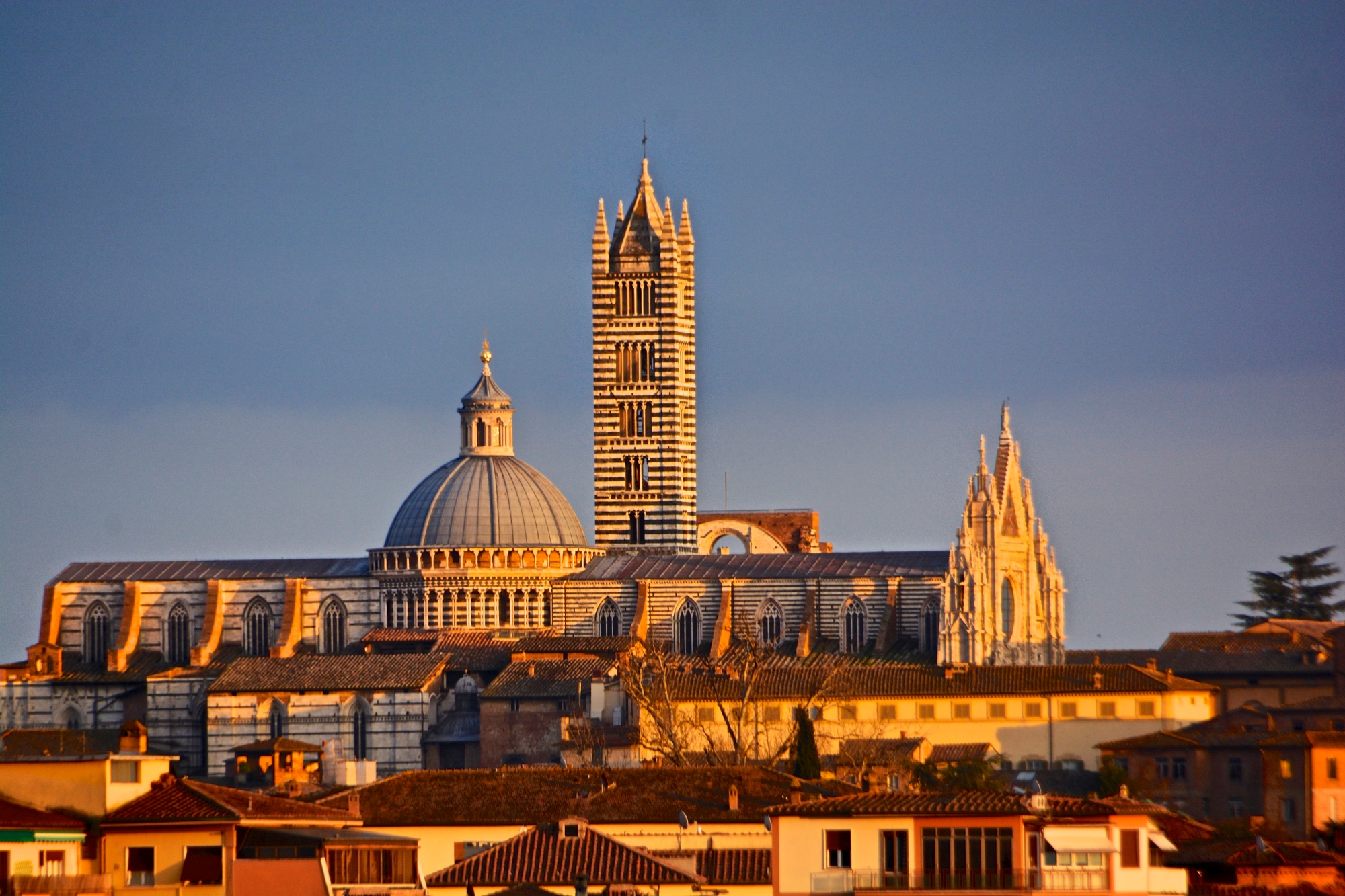 Siena skyline at sunset