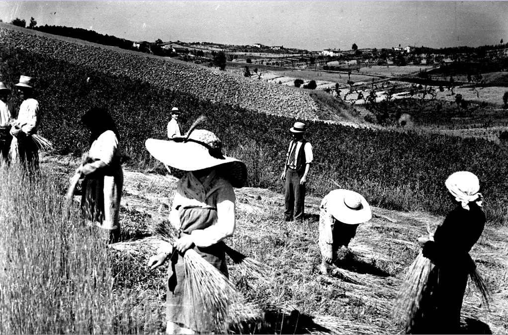 Donne al lavoro con il cappello di paglia