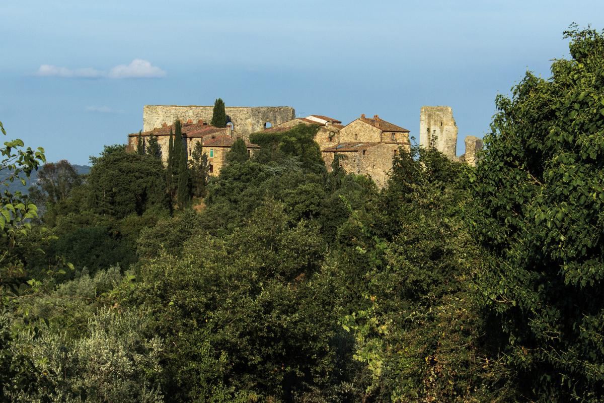 La via dei Corbezzoli, Valdambra