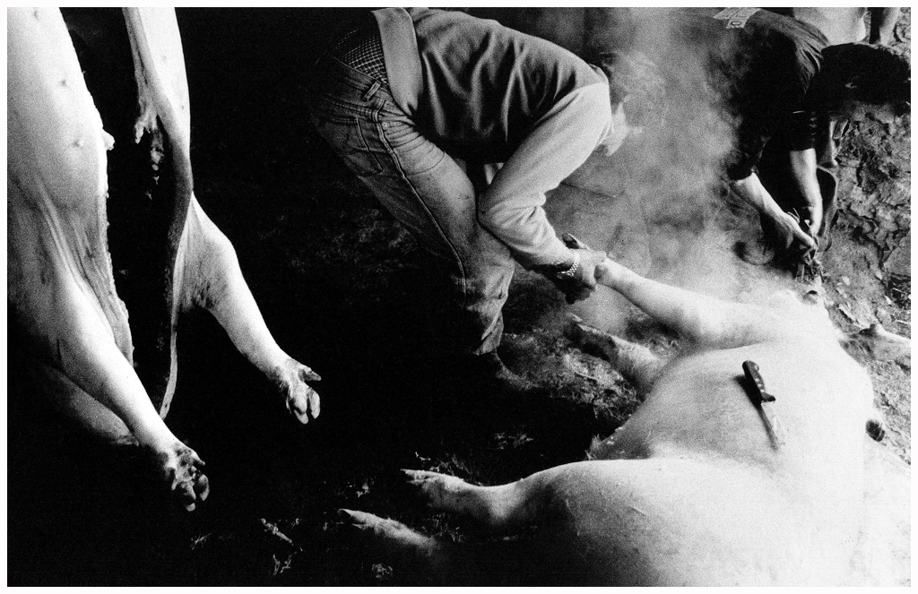 Pig butchery in Garfagnana