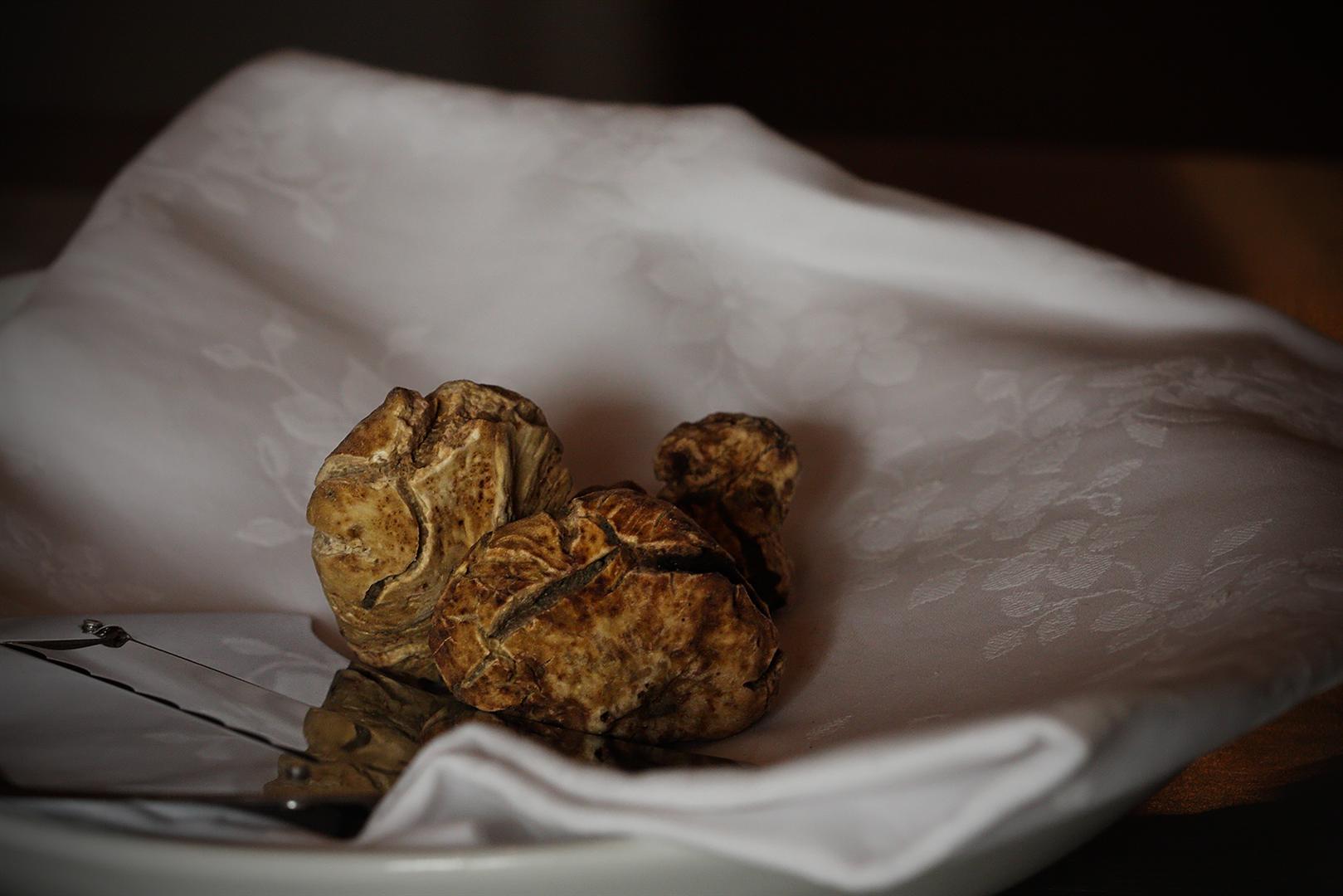 San Miniato truffle [Photo Credits: Massimo Cucchiara http://ow.ly/hOgzM]