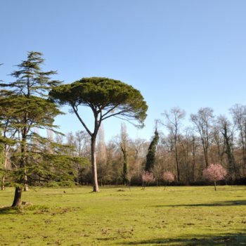 Naturpark San Rossore