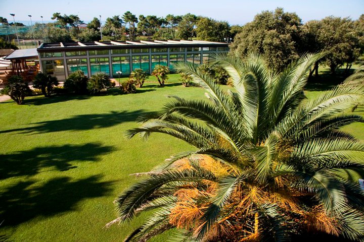 The park of the Villa Undulna Versilia Thermal Baths complex with a green lawn and palm trees.