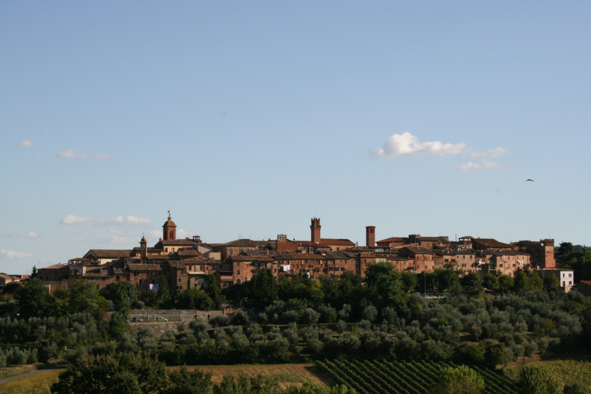 Torrita di Siena