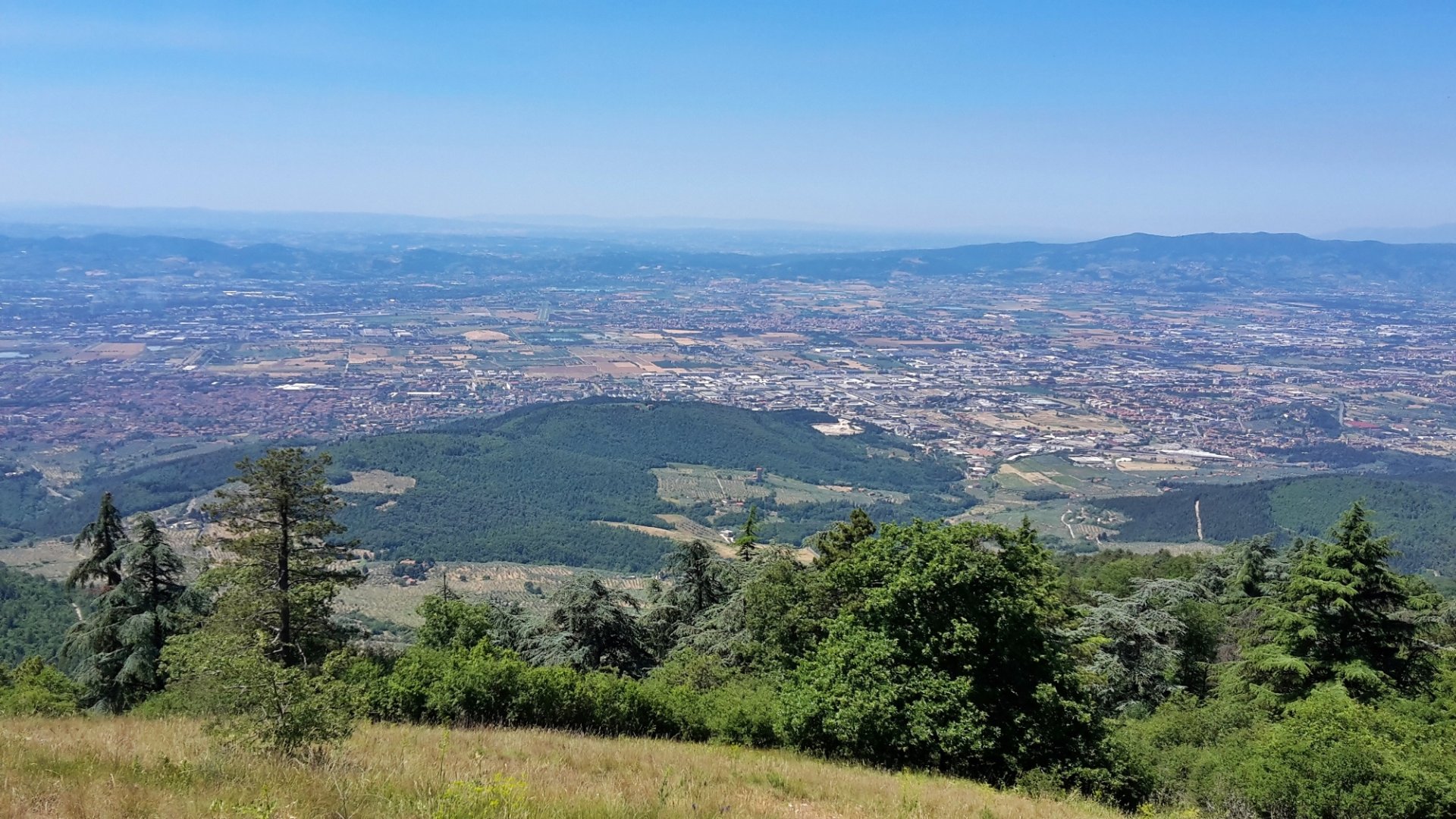 The view from Monte Morello