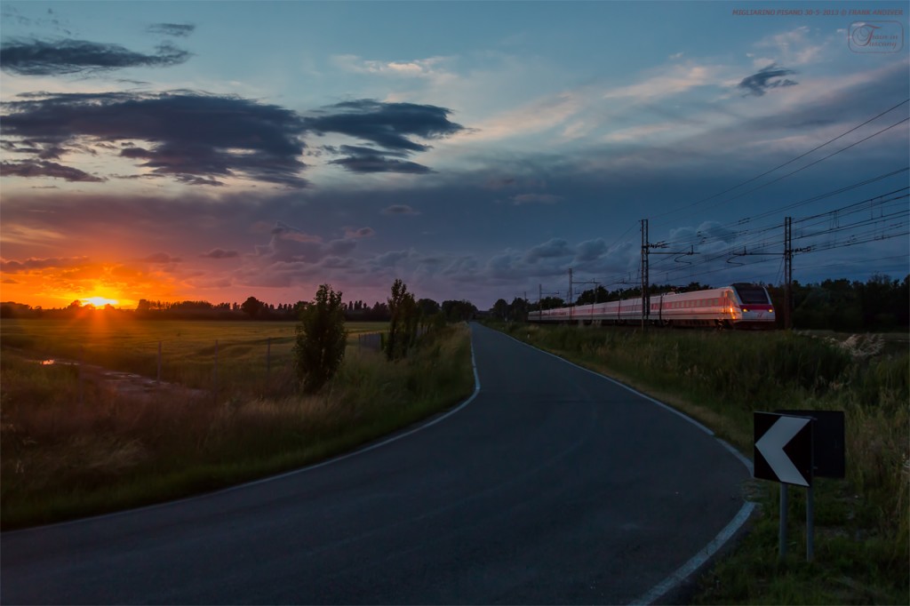 Train in the surroundings of Migliarino Pisano