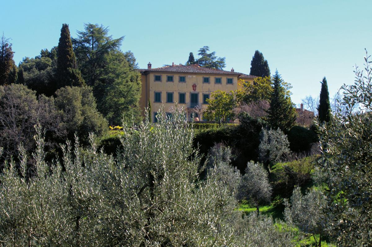 Valdambra e i dintorni di Bucine