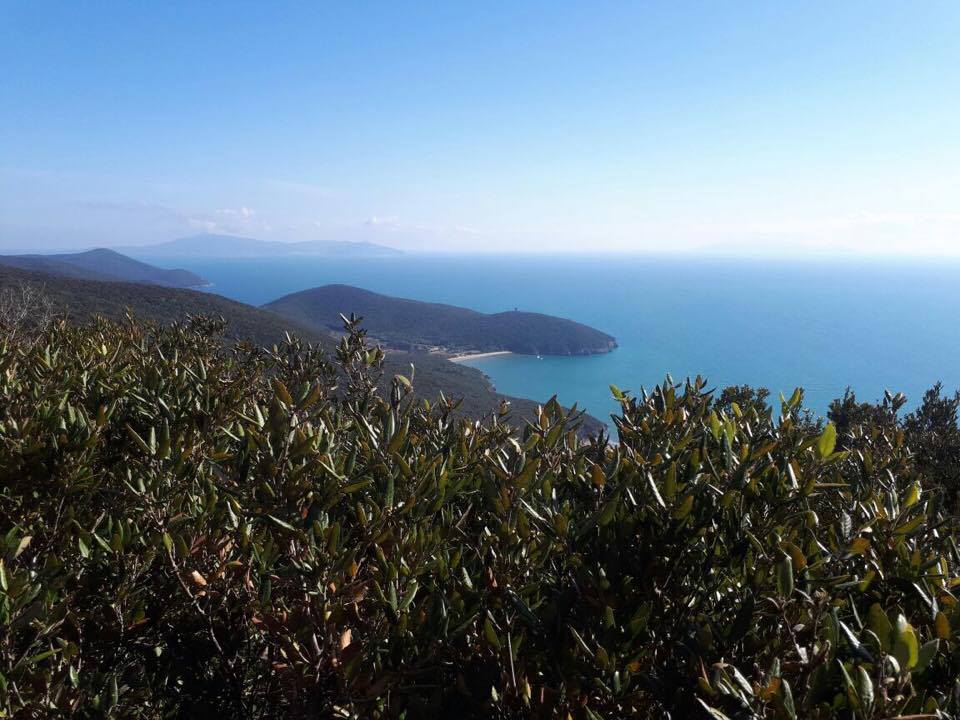 Risultati immagini per abbazia di san rabano