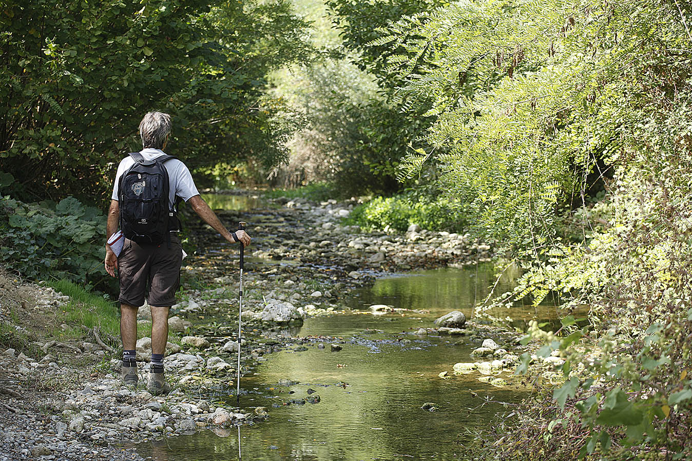 via-francigena-toscana-trekking-natura