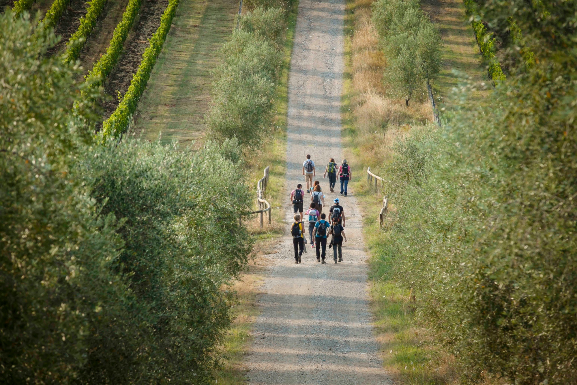 Via Romea Sanese, Badia a Passignano