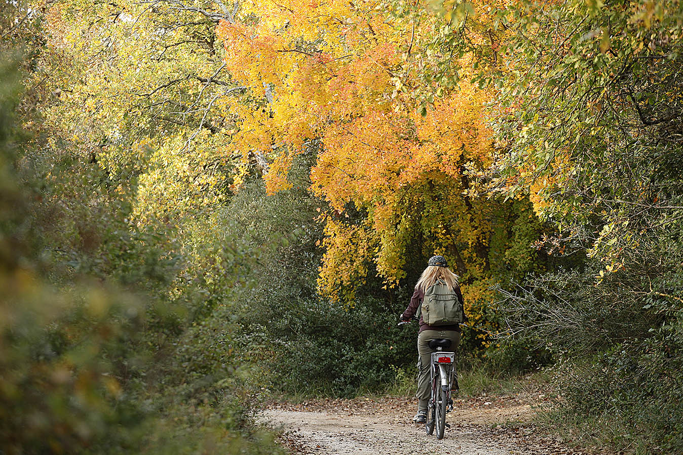 Via Francigena by bike