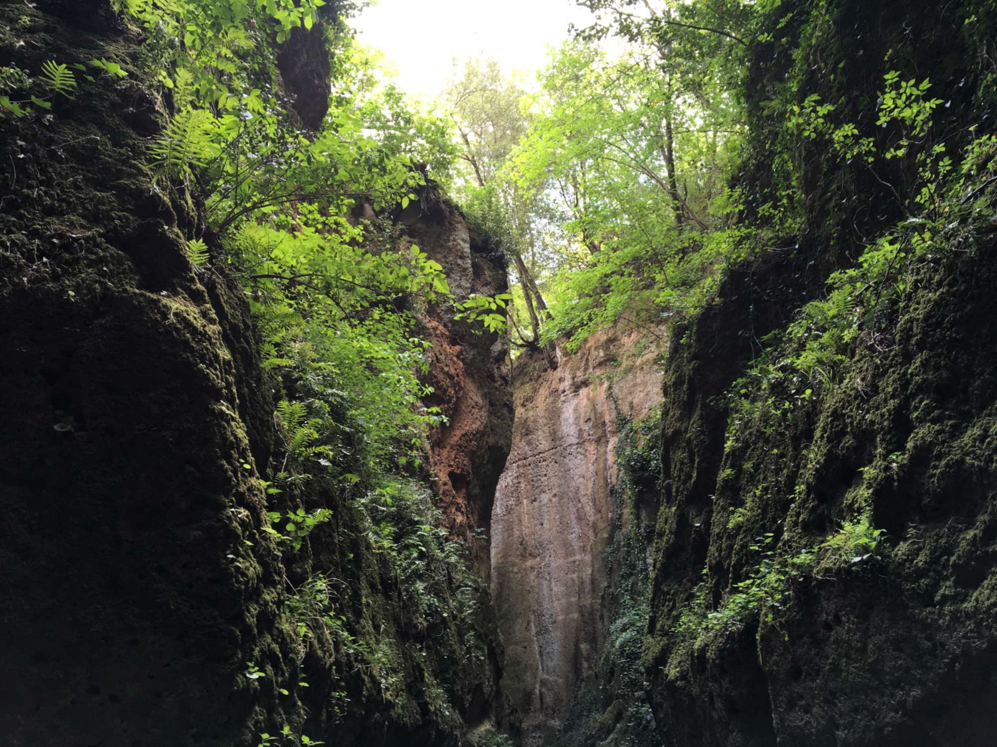 The Sorano vie cave