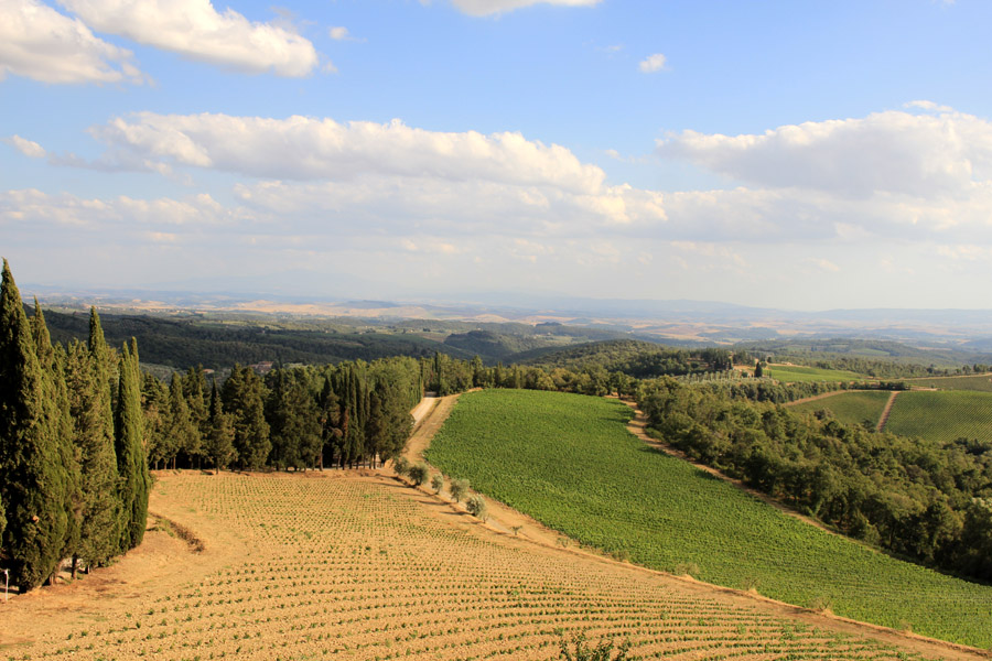 View from Castello di Brolio