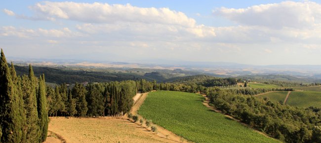 View from Castello di Brolio