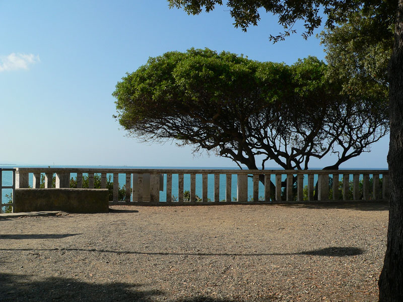 View from Pineta Marradi