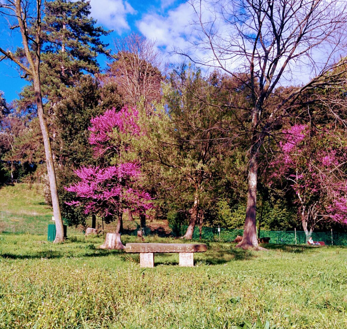 Villa Ventaglio