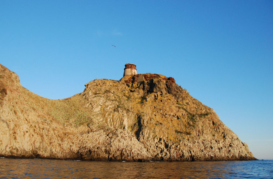 Torre dello Zenobito, Capraia