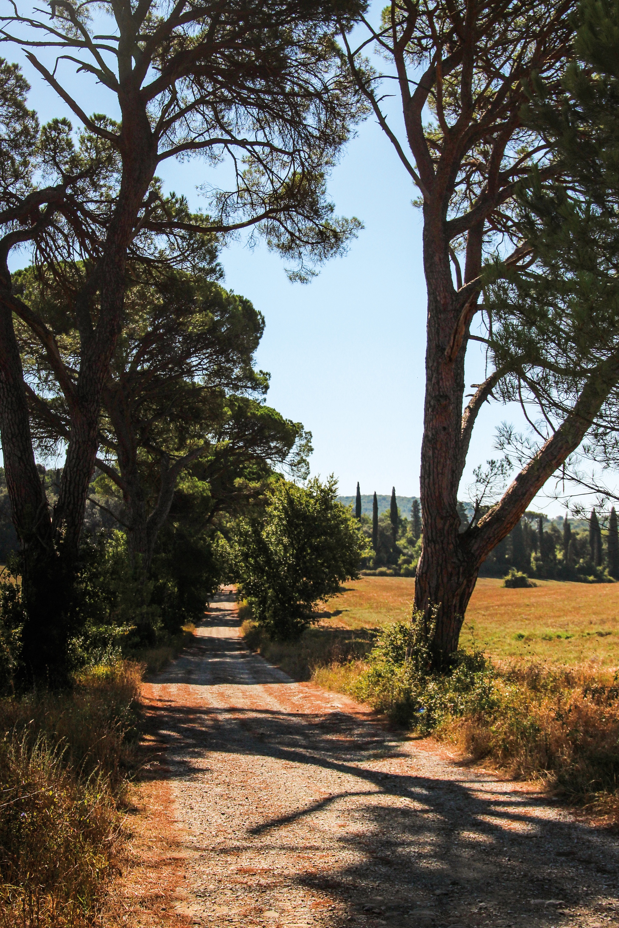 Sentieri nei dintorni di Bucine, in Valdambra