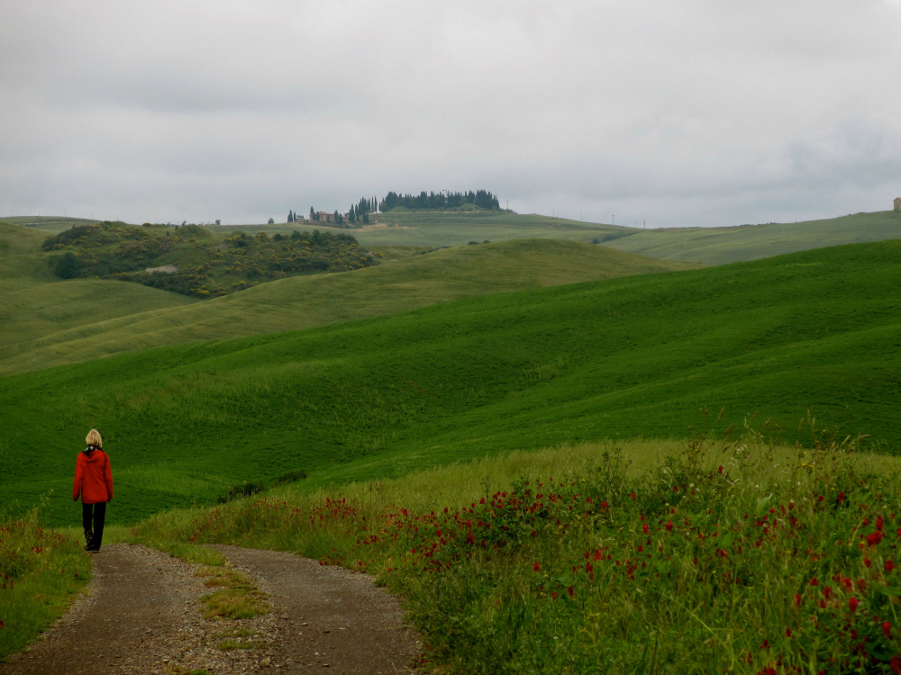 In cammino verso i cipressi dei Triboli In cammino verso i cipressi dei Triboli
