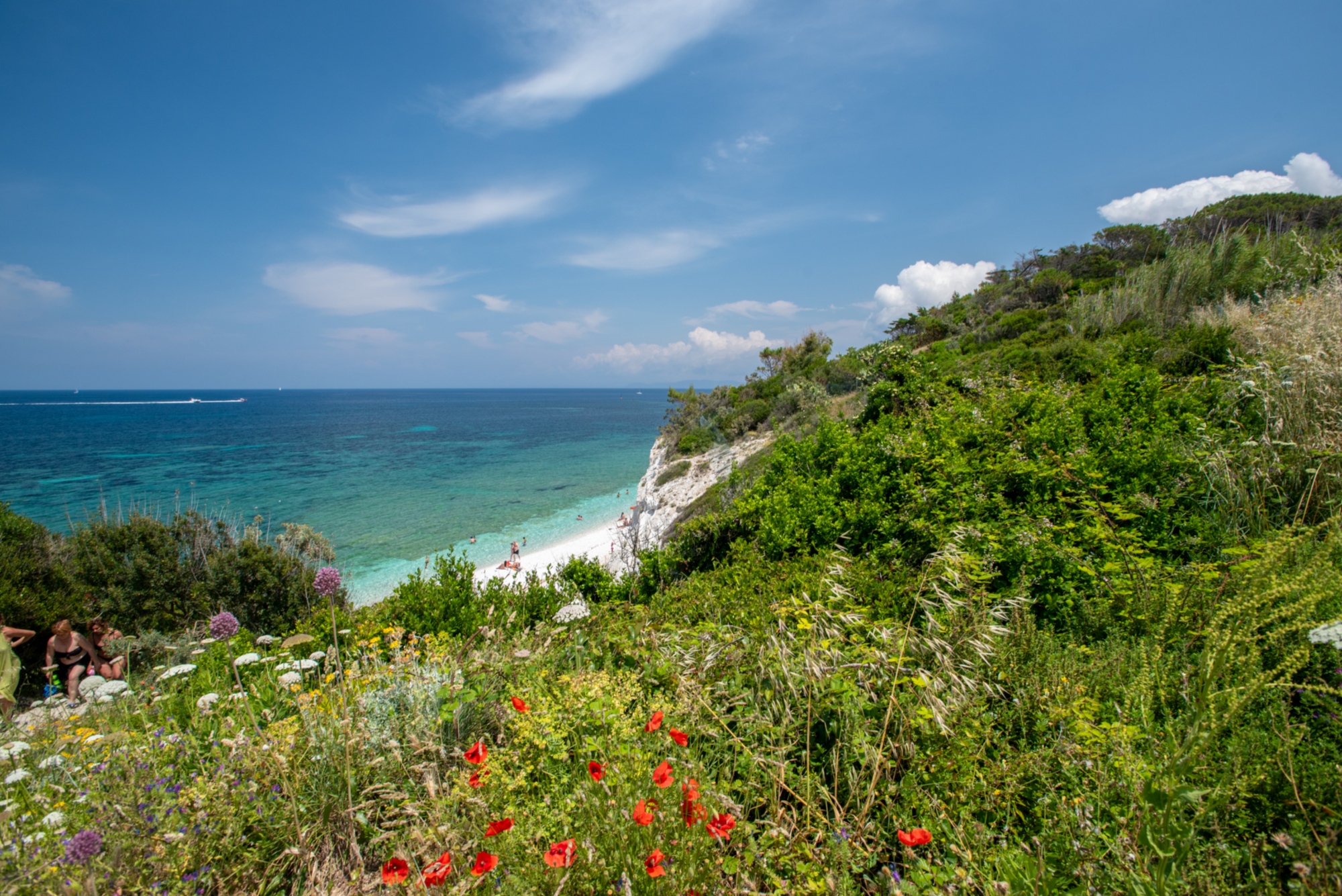 Elba - spiaggia Capobianco