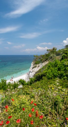 Elba - spiaggia Capobianco