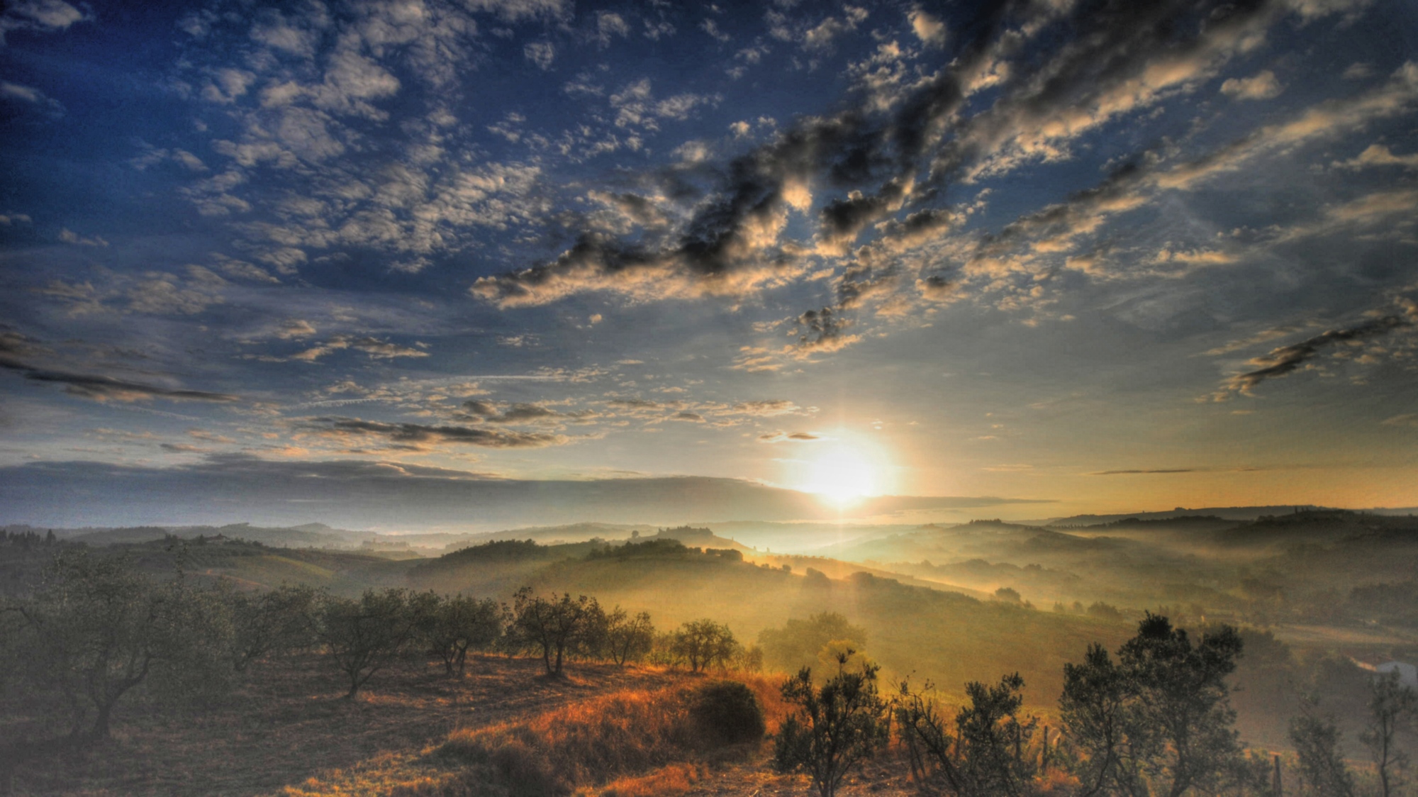 Foggy countryside around Certaldo at dawn