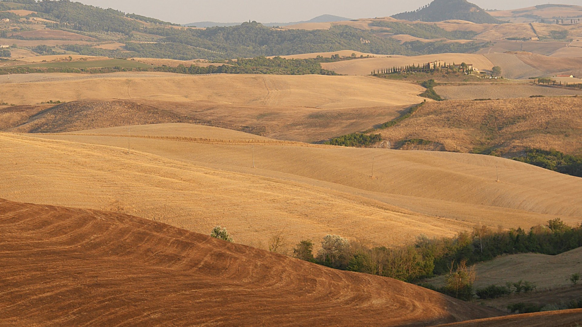 Valdera countryside