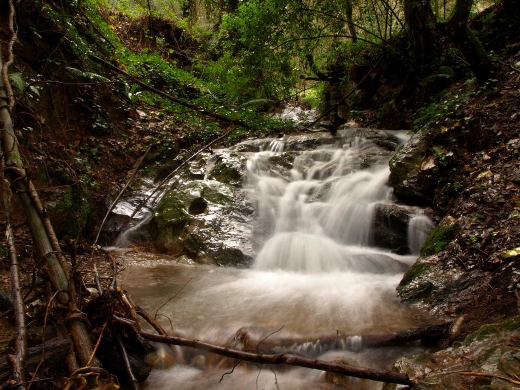 Le Parc forestier de Poggio Neri